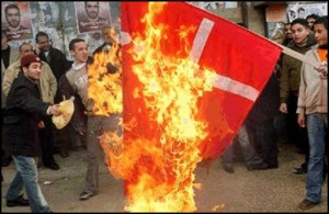 Muslims burn Denmark flag