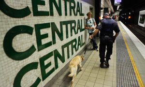 Sniffer dog searches