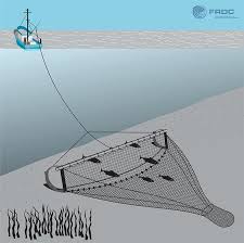 trawl-net
